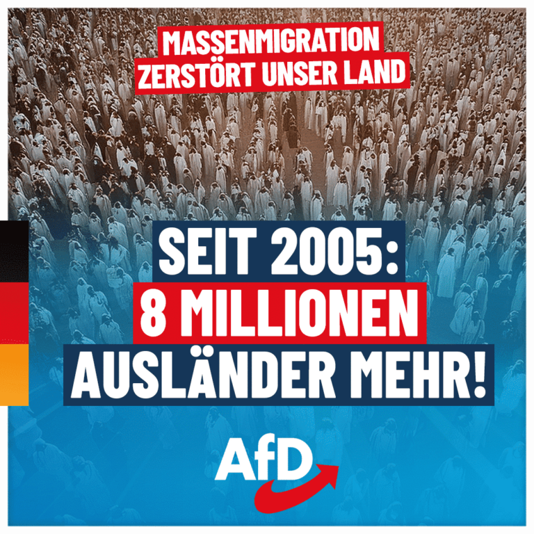 afd-8millionen-1080x1080-07-24-korrektur-2