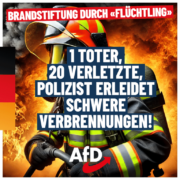 afd-brand-1080x1080-07-09-768x768