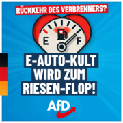 afd-e-autos-1080x1080-07-11-1-768x768