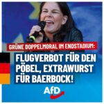 afd-gruene-doppelmoral-1080x1080-2024-07-02-v2