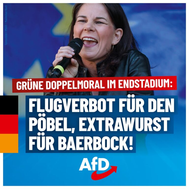 afd-gruene-doppelmoral-1080x1080-2024-07-02-v2