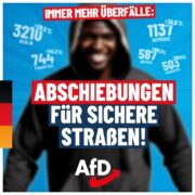 afd-kriminalitaet-1080x1080-07-18-768x768