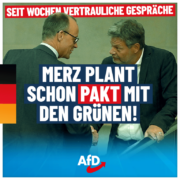 afd-merzhabeck-1080x1080-07-17-1-768x768