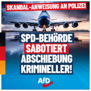 abschiebung-768x768
