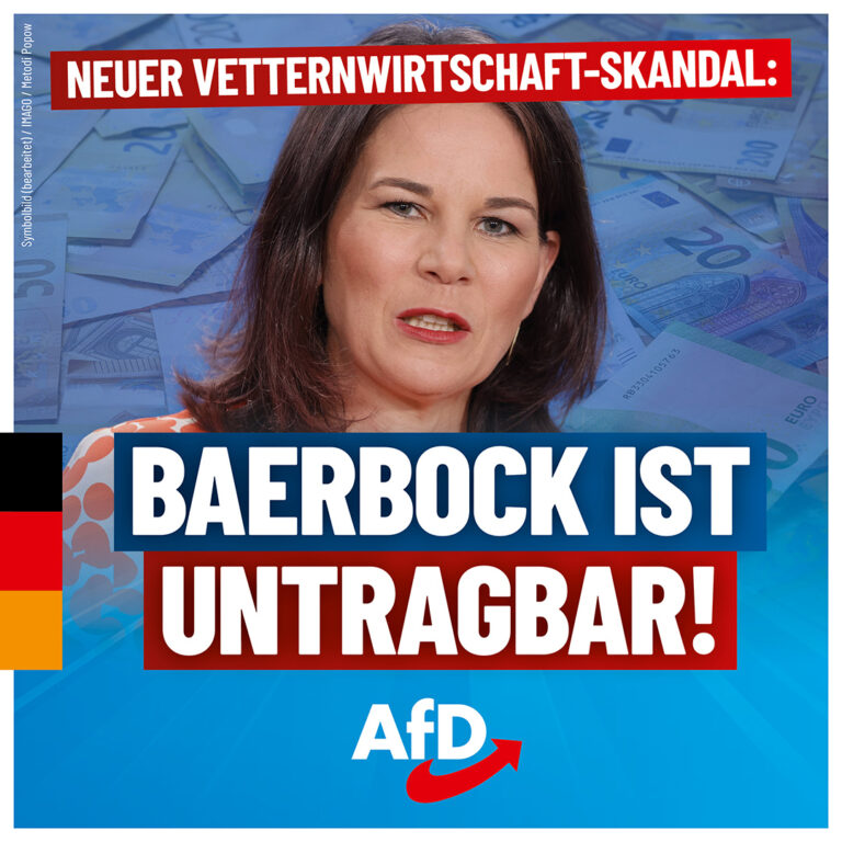 afd-baerbock-1080x1080-2024-08-08