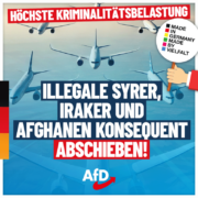 afd-solingen-1080x1080-08-26-4-768x768