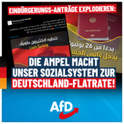 einbuergerung-768x768