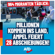 964-migranten-taeglich-768x768