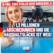 afd-abschiebung-1080x1080-09-20b-2-768x768