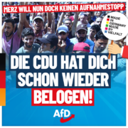 afd-merz-1080x1080-08-29-768x768