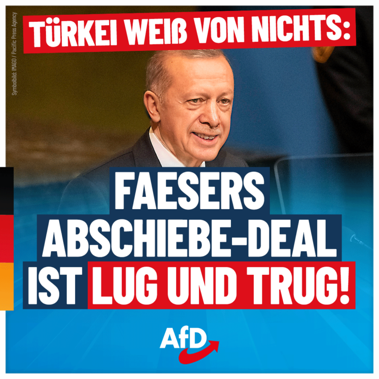 afd-erdogan-1080x1080-09-30