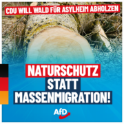afd-wald-1080x1080-10-01-1-768x768
