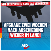 afd-afghane-1080x1080-11-04-2-768x768