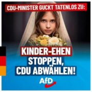 afd-kinderheirat-1080x1080-2024-11-26-3-300x300