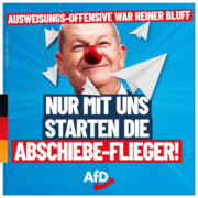 afd-scholz-1080x1080-11-26-600x600