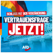 afd-vertrauensfrage-1080x1080-11-08-v2-768x768