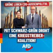 afd-schwarzgruen-1080x1080-2024-12-02-2-600x600