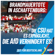 afd-aschaffenburg-1080x1080-2025-01-23-300x300
