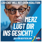 afd-merz-1080x1080-02-10b-600x600