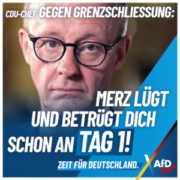 afd-merz-1080x1080-02-25-300x300