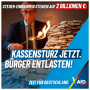afd-steuereinnahmen-1080x1080-02-26-2-300x300