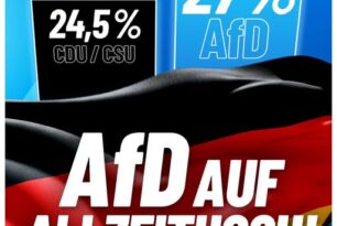 AfD auf Allzeithoch!