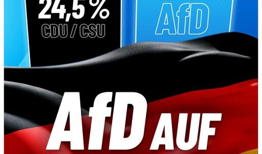 AfD auf Allzeithoch!