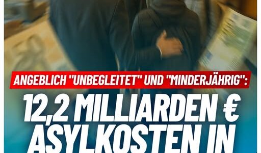 Angeblich „unbegleitet“ und „minderjährig“: 12,2 Milliarden Euro Asylkosten in nur 9 Jahren!