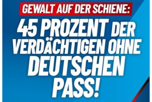 Gewalt auf der Schiene: 45 Prozent der Verdächtigen ohne deutschen Pass Gewalt auf der Schiene: 45 Prozent der Verdächtigen ohne deutschen Pass