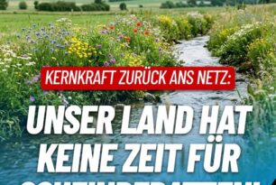 Kernkraft zurück ans Netz: Unser Land hat keine Zeit für Scheindebatten!