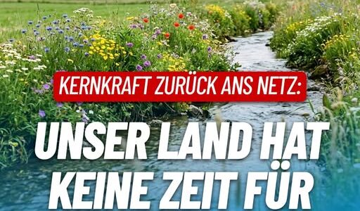 Kernkraft zurück ans Netz: Unser Land hat keine Zeit für Scheindebatten!